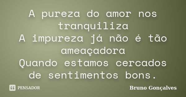 A pureza do amor nos tranquiliza A impureza já não é tão ameaçadora Quando estamos cercados de sentimentos bons.... Frase de Bruno Gonçalves.