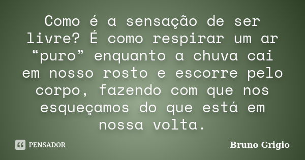 Como é a sensação de ser livre? É como respirar um ar “puro” enquanto a chuva cai em nosso rosto e escorre pelo corpo, fazendo com que nos esqueçamos do que est... Frase de Bruno Grigio.