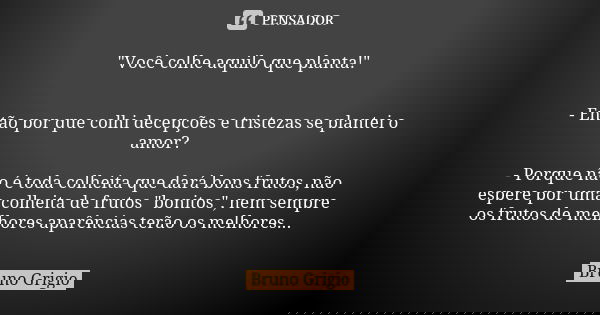 "Você colhe aquilo que planta!" - Então por que colhi decepções e tristezas se plantei o amor? - Porque não é toda colheita que dará bons frutos, não ... Frase de Bruno Grigio.