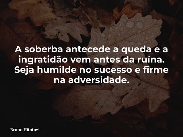 A soberba antecede a queda e a ingratidão vem antes da ruína. Seja humilde no sucesso e firme na adversidade.... Frase de Bruno Hitotuzi.