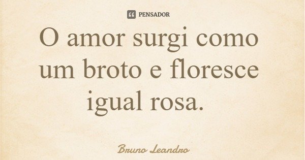 O amor surgi como um broto e floresce igual rosa.... Frase de Bruno Leandro.