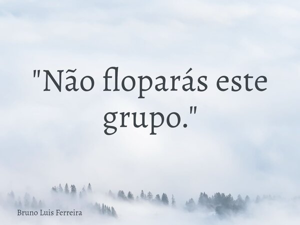 ⁠"Não floparás este grupo."... Frase de Bruno Luis Ferreira.