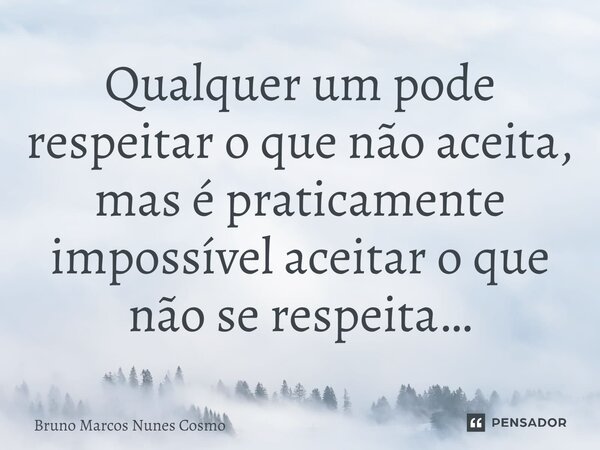⁠Qualquer um pode respeitar o que não aceita, mas é praticamente impossível aceitar o que não se respeita…... Frase de Bruno Marcos Nunes Cosmo.