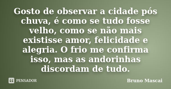 Gosto de observar a cidade pós chuva, é como se tudo fosse velho, como se não mais existisse amor, felicidade e alegria. O frio me confirma isso, mas as andorin... Frase de Bruno Mascai.