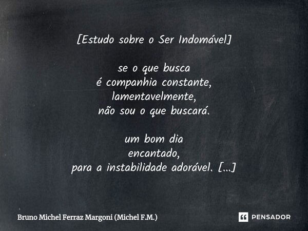 [⁠Estudo sobre o Ser Indomável] se o que busca é companhia constante, lamentavelmente, não sou o que buscará. um bom dia encantado, para a instabilidade adoráve... Frase de Bruno Michel Ferraz Margoni (Michel F.M.).