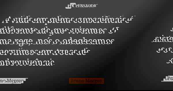 A vida em plena consciência é diferente da que vivemos. O sistema rege, nós o obedecemos e o servimos em troca de sobrevivência.... Frase de Bruno Morgon.