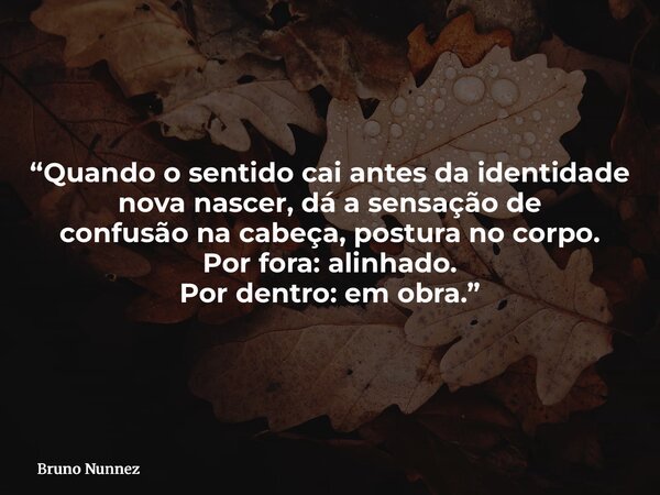 “Quando o sentido cai antes da identidade nova nascer, dá a sensação de confusão na cabeça, postura no corpo. Por fora: alinhado. Por dentro: em obra.”... Frase de Bruno Nunnez.