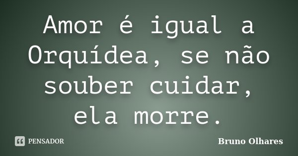 Amor é igual a Orquídea, se não souber cuidar, ela morre.... Frase de Bruno Olhares.