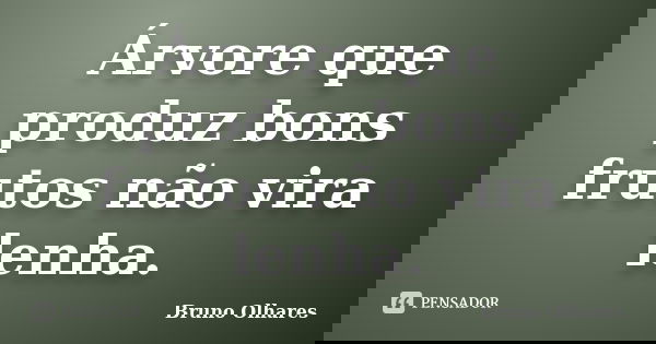 Árvore que produz bons frutos não vira lenha.... Frase de Bruno Olhares.