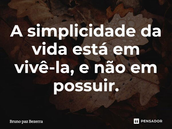 ⁠A simplicidade da vida está em vivê-la, e não em possuir.... Frase de Bruno paz Bezerra.