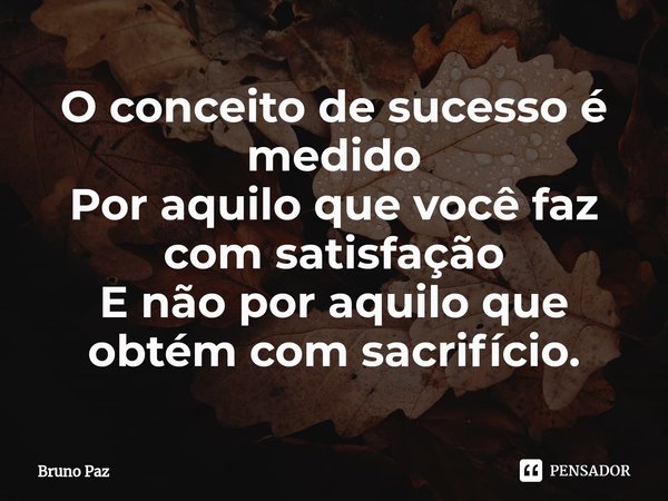 ⁠O conceito de sucesso é medido
Por aquilo que você faz com satisfação
E não por aquilo que obtém com sacrifício.... Frase de Bruno paz.