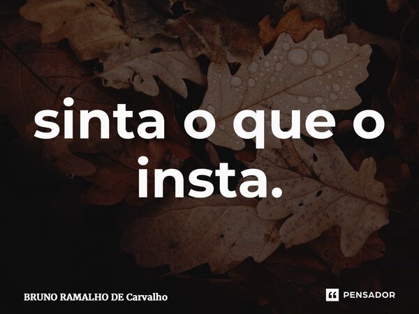 ⁠sinta o que o insta.... Frase de Bruno Ramalho de Carvalho.