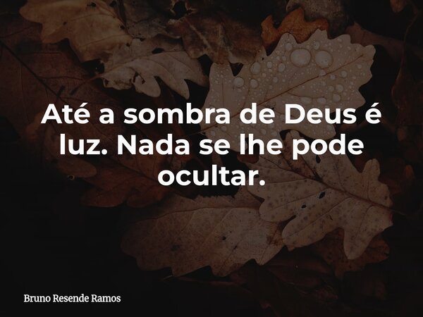 Até a sombra de Deus é luz. Nada se lhe pode ocultar.... Frase de Bruno Resende Ramos.