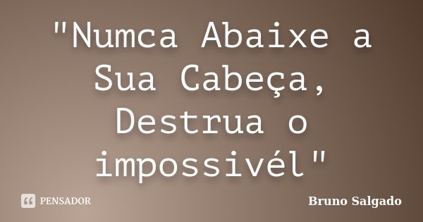 "Numca Abaixe a Sua Cabeça, Destrua o impossivél"... Frase de Bruno Salgado.