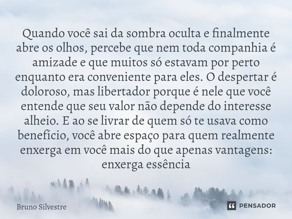 Quando você sai da sombra oculta e finalmente abre os olhos, percebe que nem toda companhia é amizade e que muitos só estavam por perto enquanto era convenient... Frase de Bruno Silvestre.