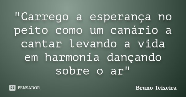 "Carrego a esperança no peito como um canário a cantar levando a vida em harmonia dançando sobre o ar"... Frase de Bruno Teixeira.