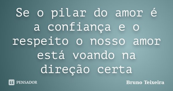 Se o pilar do amor é a confiança e o respeito o nosso amor está voando na direção certa... Frase de Bruno Teixeira.