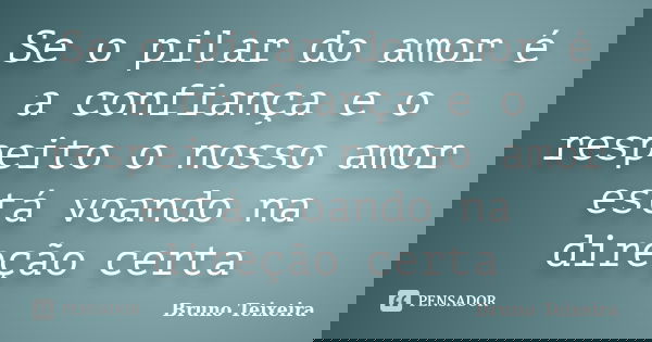Se o pilar do amor é a confiança e o respeito o nosso amor está voando na direção certa... Frase de Bruno Teixeira.