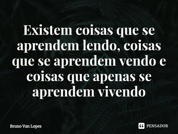 ⁠Existem coisas que se aprendem lendo, coisas que se aprendem vendo e coisas que apenas se aprendem vivendo... Frase de Bruno Van Lopes.