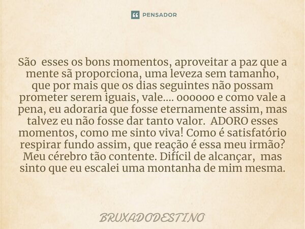 ⁠São esses os bons momentos, aproveitar a paz que a mente sã proporciona, uma leveza sem tamanho, que por mais que os dias seguintes não possam prometer serem i... Frase de Bruxadodestino.