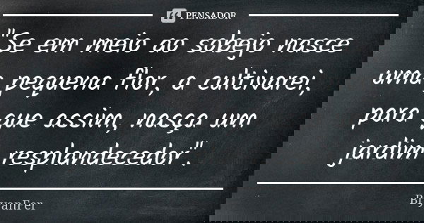 ''Se em meio ao sobejo nasce uma pequena flor, a cultivarei, para que assim, nasça um jardim resplandecedor''.... Frase de BryanFer.