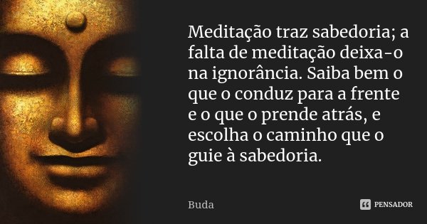 Meditação traz sabedoria; a falta de meditação deixa-o na ignorância. Saiba bem o que o conduz para a frente e o que o prende atrás, e escolha o caminho que o g... Frase de Buda.