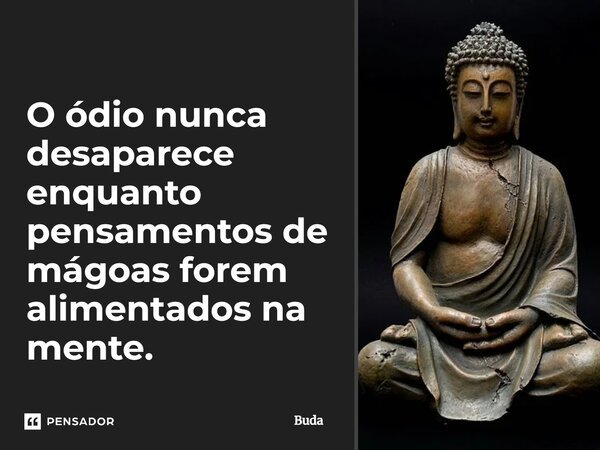 O ódio nunca desaparece enquanto pensamentos de mágoas forem alimentados na mente.... Frase de Buda.