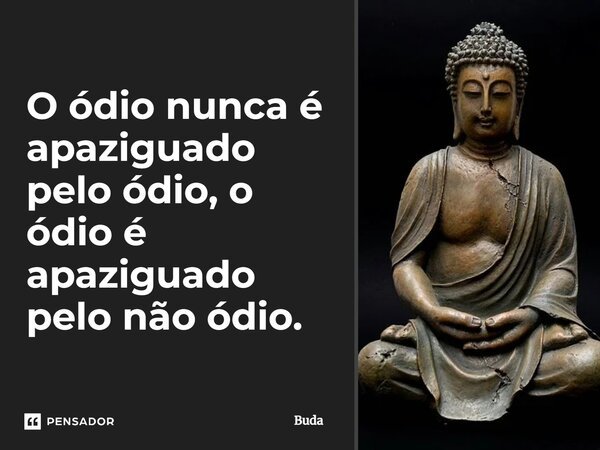 O ódio nunca é apaziguado pelo ódio, o ódio é apaziguado pelo não ódio.... Frase de Buda.