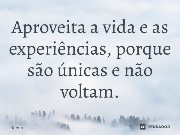 Aproveita a vida e as experiências, porque são únicas e não voltam.... Frase de Bueno.