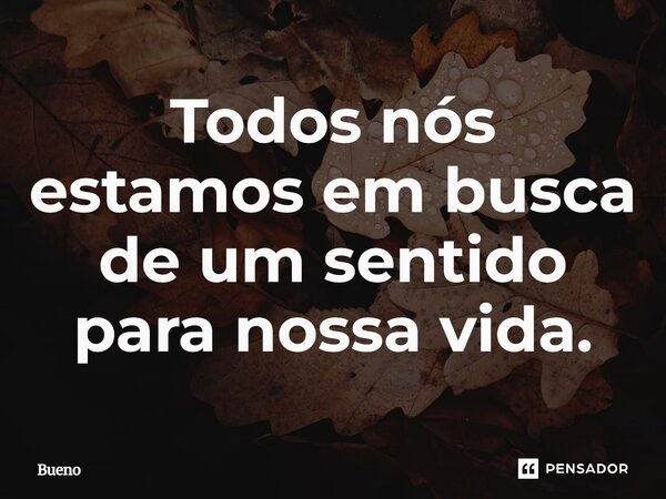 Todos nós estamos em busca de um sentido para nossa vida.... Frase de Bueno.