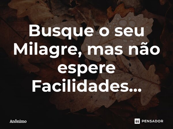 Busque o seu Milagre, mas não espere Facilidades...⁠... Frase de Anônimo.