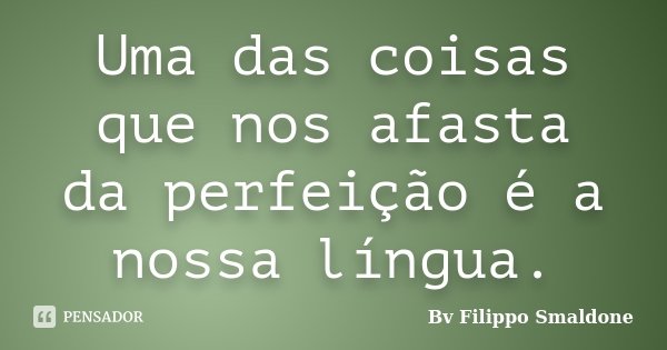 Uma das coisas que nos afasta da perfeição é a nossa língua.... Frase de Bv Filippo Smaldone.