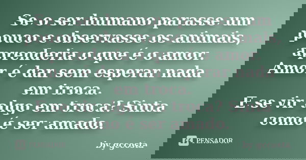 Se o ser humano parasse um pouco e observasse os animais, aprenderia o que é o amor. Amor é dar sem esperar nada em troca. E se vir algo em troca? Sinta como é ... Frase de by gccosta.