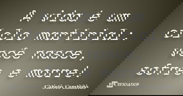 A vida é um ciclo martirial: você nasce, sofre e morre!... Frase de Cabelo Lambido.