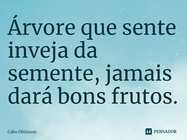 ⁠Árvore que sente inveja da semente, jamais dará bons frutos.... Frase de Cabo Dênisson.