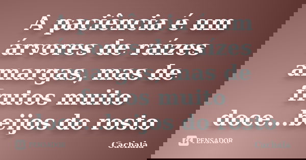 A paciência é um árvores de raízes amargas, mas de frutos muito doce...beijos do rosto... Frase de Cachala.