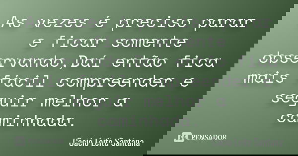 As vezes é preciso parar e ficar somente observando,Daí então fica mais fácil compreender e seguir melhor a caminhada.... Frase de Cacio Leite Santana.