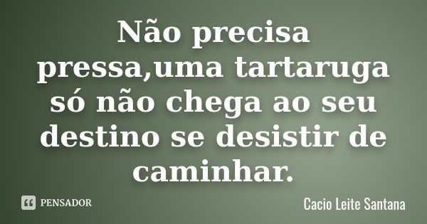 Não precisa pressa,uma tartaruga só não chega ao seu destino se desistir de caminhar.... Frase de Cacio Leite Santana.