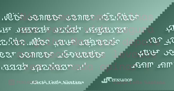 Nós somos como folhas que verde vida segura no galho.Mas que depois que seca somos levados sem em nada opinar !... Frase de Cacio Leite Santana.