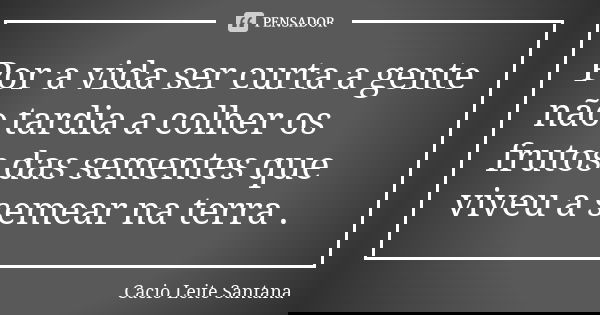 Por a vida ser curta a gente não tardia a colher os frutos das sementes que viveu a semear na terra .... Frase de Cacio Leite Santana.