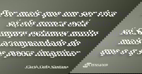Por mais que um ser viva só,ele nunca está só.Sempre estamos muito mais acompanhado do que o q se possa imaginar... Frase de Cacio Leite Santana.