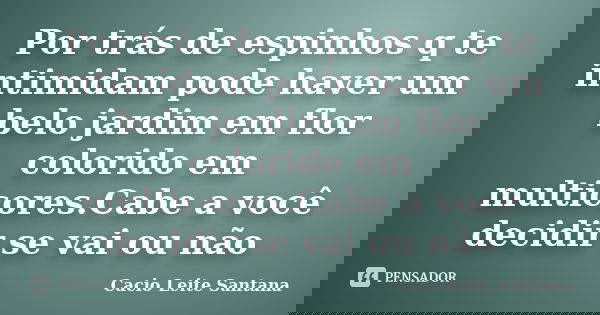 Por trás de espinhos q te intimidam pode haver um belo jardim em flor colorido em multicores.Cabe a você decidir se vai ou não... Frase de Cacio Leite Santana.