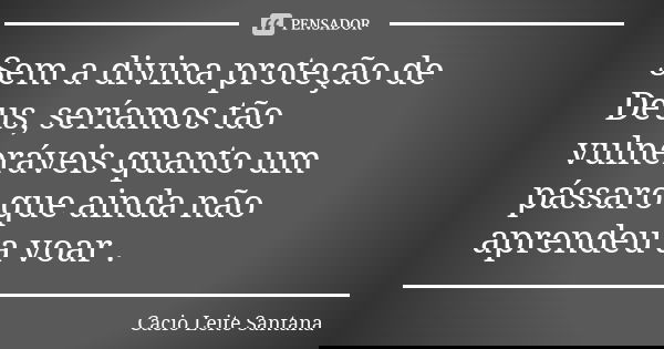 Sem a divina proteção de Deus, seríamos tão vulneráveis quanto um pássaro que ainda não aprendeu a voar .... Frase de Cacio Leite Santana.