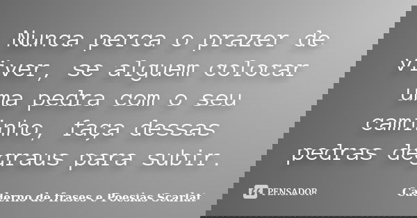 Nunca perca o prazer de viver, se alguem colocar uma pedra com o seu caminho, faça dessas pedras degraus para subir.... Frase de Caderno de Frases e Poesias Scarlat.