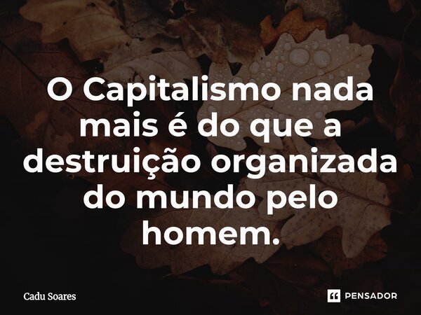O Capitalismo nada mais é do que a destruição organizada do mundo pelo homem.⁠... Frase de Cadu Soares.