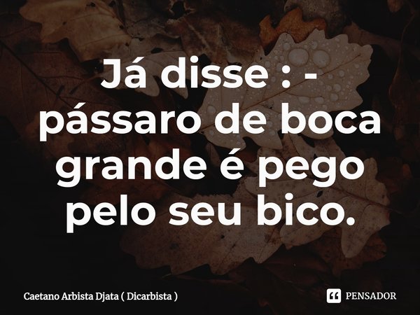 ⁠Já disse : - pássaro de boca grande é pego pelo seu bico.... Frase de Caetano Arbista Djata ( Dicarbista ).