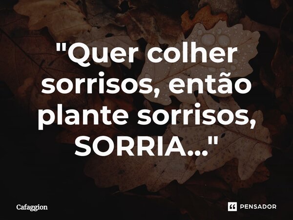 ⁠"Quer colher sorrisos, então plante sorrisos, SORRIA..."... Frase de Cafaggion.