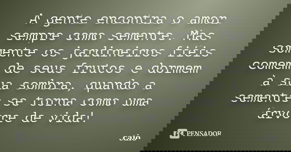 A gente encontra o amor sempre como semente. Mas somente os jardineiros fiéis comem de seus frutos e dormem à sua sombra, quando a semente se torna como uma árv... Frase de Caio.