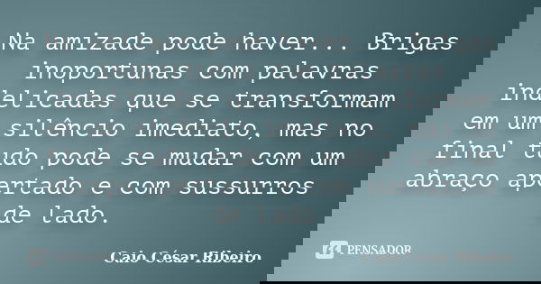 Na amizade pode haver... Brigas inoportunas com palavras indelicadas que se transformam em um silêncio imediato, mas no final tudo pode se mudar com um abraço a... Frase de Caio César Ribeiro.