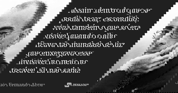 Assim: dentro do que se podia tocar, escondido, vivia também o que só era visível quando o olho ficava tão inundado de luz que enxergava esse invisível no meio ... Frase de Caio Fernando Abreu.